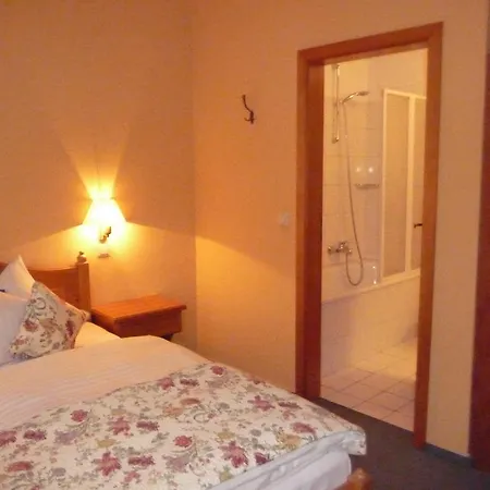 酒店 格鲁登堡酒店 3*